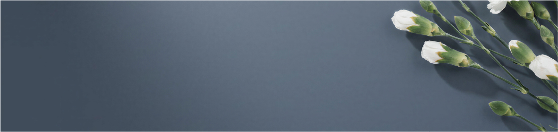Oxford Blue Swatch